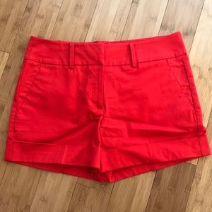 New York & Co. shorts